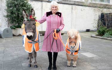 GettyImages-Camilla_Guards_Chapel__9_