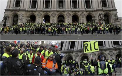 Gilet gialli, quinto sabato di proteste in Francia. FOTO