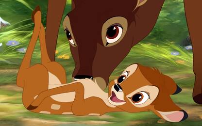 Usa, cacciatore condannato a guardare Bambi una volta al mese