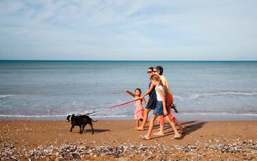 cane-GettyImages-1052042808