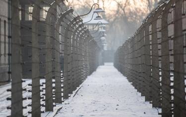 5-auschwitz-ansa