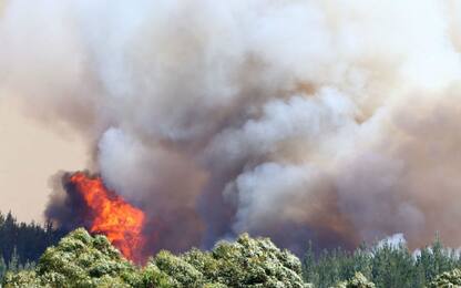 Nuova Zelanda, incendi a Tasman: evacuata la popolazione