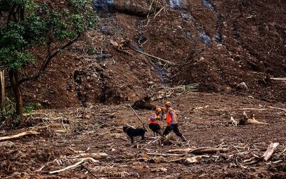 Indonesia, crolla una miniera illegale: almeno 3 morti e 40 dispersi