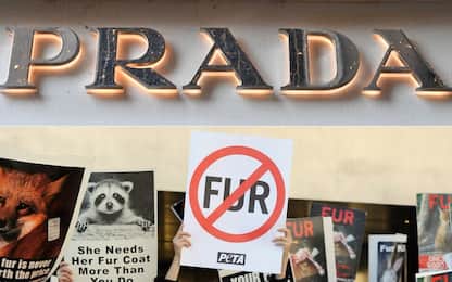 Prada dice stop alle pellicce, la maison italiana diventa "fur-free"
