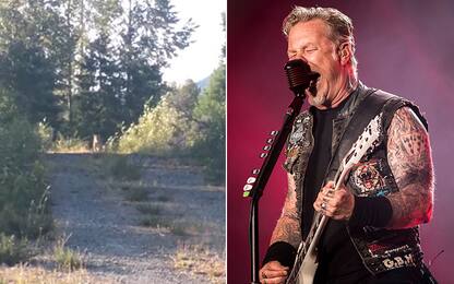 Canada, Metallica a tutto volume per salvarsi dall’attacco di un puma
