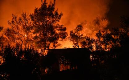 Grecia, incendi su isola Evia: evacuato anche un monastero