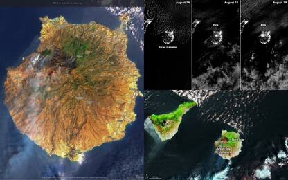 Incendio a Gran Canaria, le foto dai satelliti Nasa e Copernicus