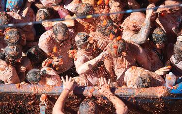 0GettyImages-Tomatina_Valencia