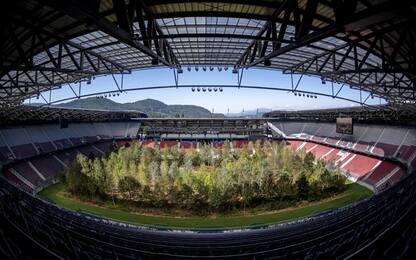 La foresta nello stadio di Klagenfurt, in Austria. VIDEO