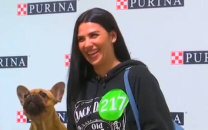 Mosca, record di cani a un evento fotografico: video