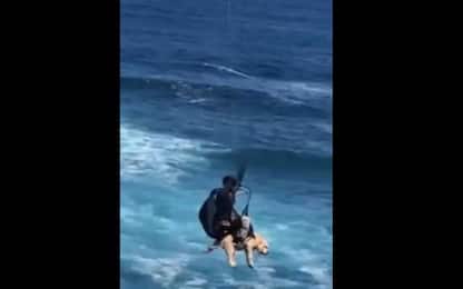Australia, un uomo fa parapendio insieme al cane. VIDEO