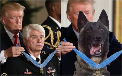 E' falsa la foto di Trump che premia il cane-eroe Conan, scrive il Nyt