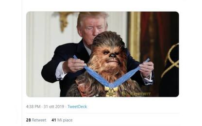 Trump e il fotomontaggio del premio al cane-eroe, i meme