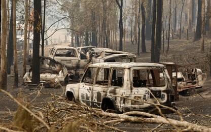 Incendi Australia, dichiarato stato di pericolo “catastrofico”. VIDEO