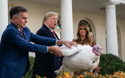 Festa del Ringraziamento, Trump grazia due tacchini. FOTO