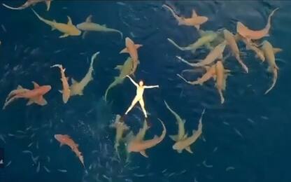 Maldive, turista galleggia in un mare di squali. VIDEO