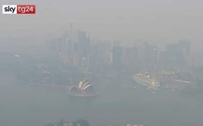 Incendi in Australia, Sydney ancora avvolta dal fumo. VIDEO