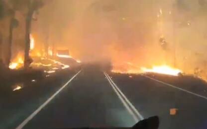 Incendi in Australia, il pompiere passa in mezzo alle fiamme. VIDEO