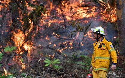 Caldo e incendi: l'Australia continua a bruciare. FOTO