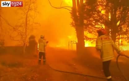 Incendi Australia, condizioni "catastrofiche" vicino a Sydney. VIDEO