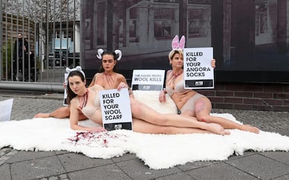 "No alla lana nella moda", la protesta di Peta. FOTO
