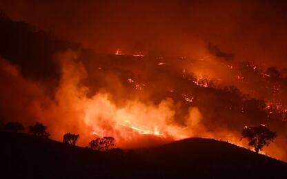 Incendi Australia, le prime stime dei danni. Video e  foto 