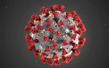 Coronavirus, studio su spray nasale che potrebbe prevenire il contagio