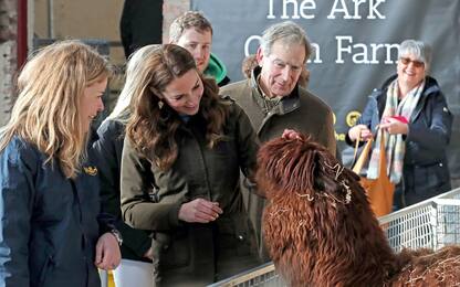 Kate Middleton, giornata con animali e bimbi in Nord Irlanda