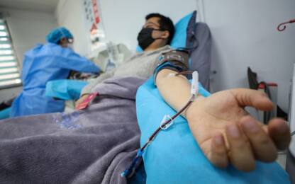 Coronavirus: il plasma dei pazienti guariti per aiutare quelli gravi