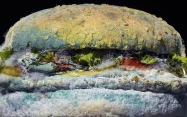 Burger King, un panino ammuffito per dire addio ai conservanti. VIDEO