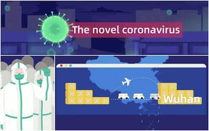 Coronavirus, le tappe da gennaio a oggi in una animazione. VIDEO