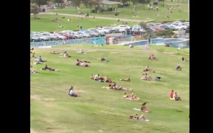 Coronavirus, chiude Bondi Beach ma si affollano le colline. VIDEO