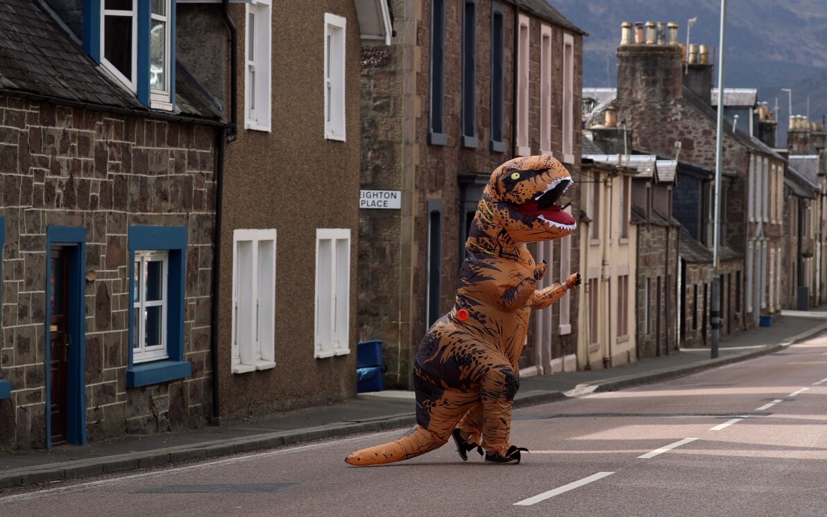 Coronavirus, infrangono lockdown e girano per le strade vestiti da dinosauro.  FOTO | Sky TG24