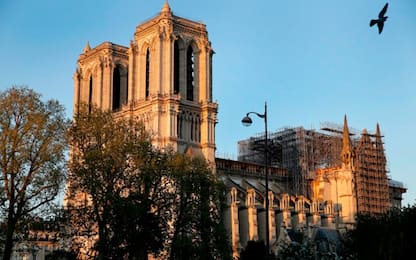 Covid-19, Notre Dame: lavori fermi ad un anno dall’incendio