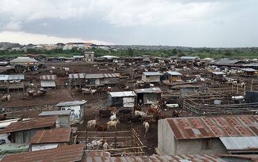 Nigeria, banditi assaltano cinque villaggi: 47 morti