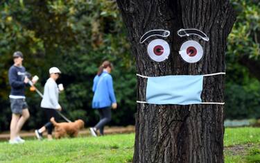 Coronavirus Australia, alberi con le mascherine. FOTO