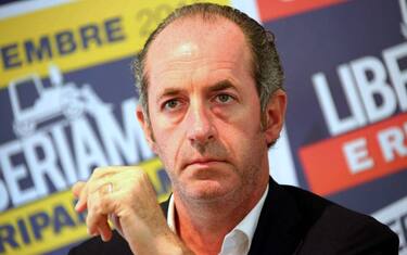 Aggressione Daisy, Zaia: "Ha l'unica colpa di avere colore diverso"