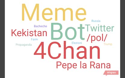 Bot, meme, troll, 4chan: cosa sono. FAQ