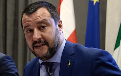 Salvini al Times: bassa natalità Italia scusa per importare migranti