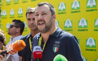 Salvini: "Dal 2020 forte taglio tasse, pronti a scontro con Ue"