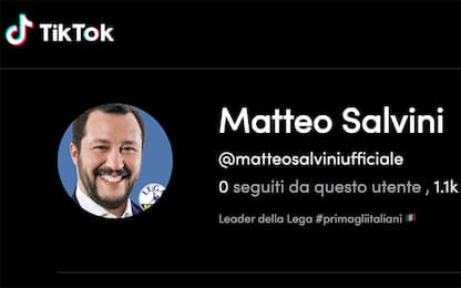Matteo Salvini ha aperto un profilo ufficiale su TikTok