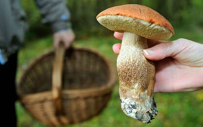 Cercatore di funghi 81enne cade in una scarpata nel Pinerolese