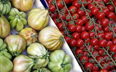 Ricerca Uk: 10 porzioni di frutta e verdura al giorno per vivere bene