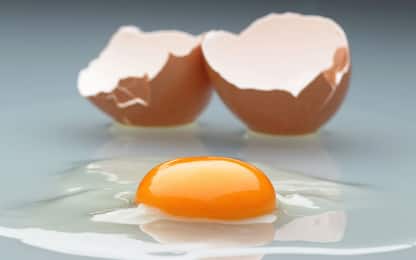 Uova, nuovo studio rivela pericolo per il cuore da colesterolo