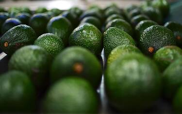 Banane e avocado potrebbero aiutare a prevenire ictus e infarti