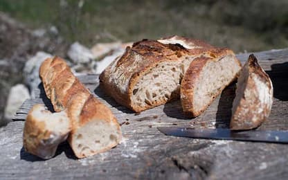 Brusasco, soffocato da pezzo di pane mentre va a votare: muore 84enne