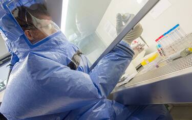 Virus Ebola, cos'è e come si trasmette