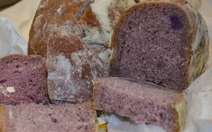 Arriva Well Bred, il pane viola made in Italy che fa bene alla salute
