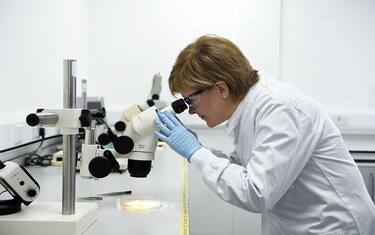 Sviluppato nuovo test di precisione contro il tumore ovarico