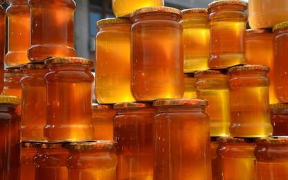 Carabinieri sequestrano 36 quintali di miele nel Salernitano